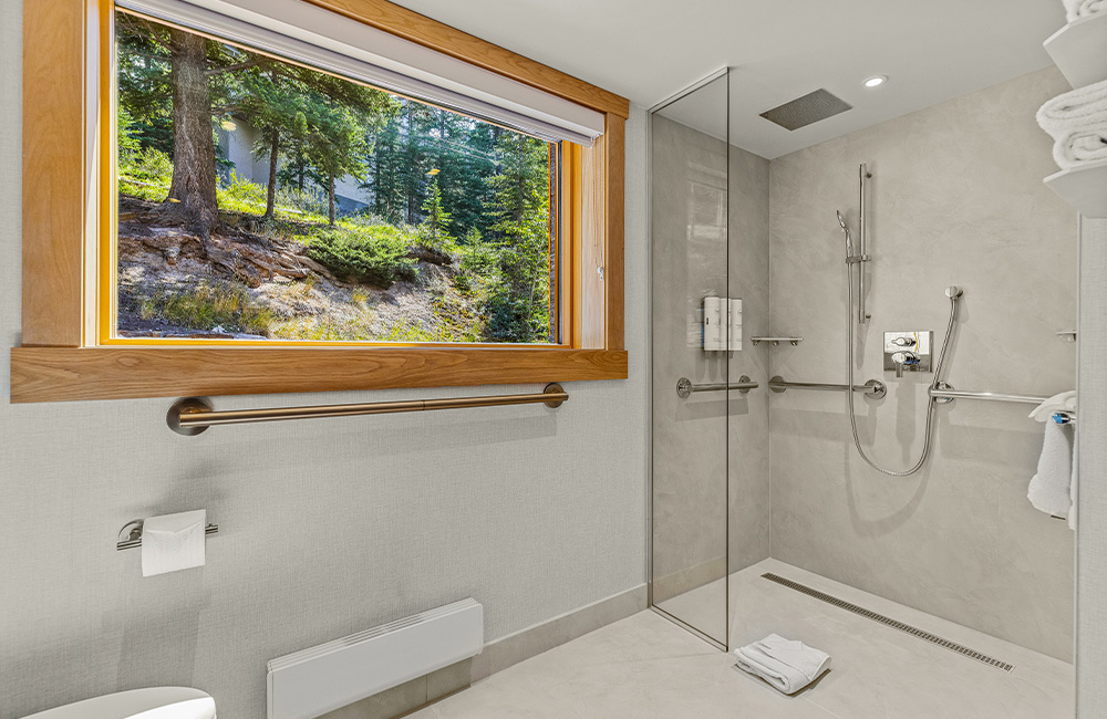 Superior Suite Mountain View